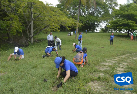 Reforestación en Santo Domingo